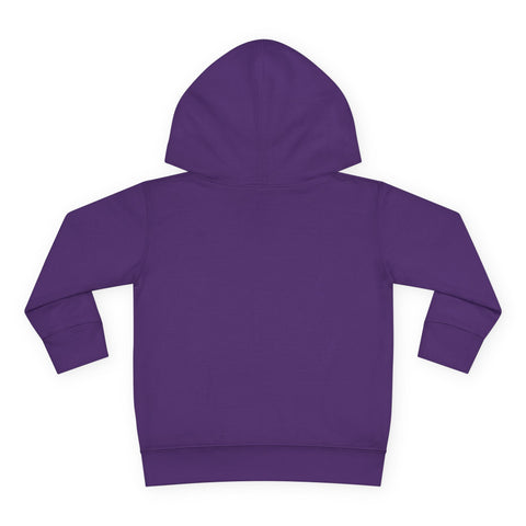 Toddlers Cat Pullover Fleece Hoodie