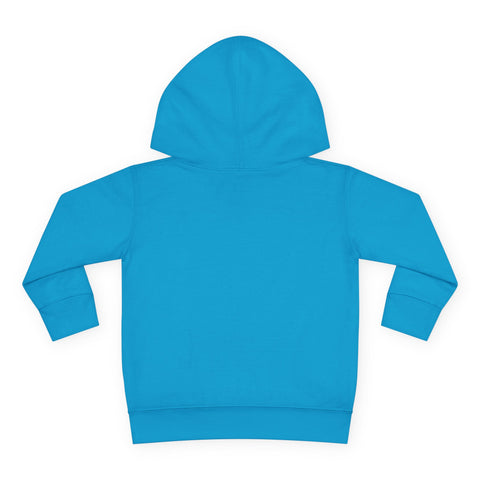 Toddlers Cat Pullover Fleece Hoodie