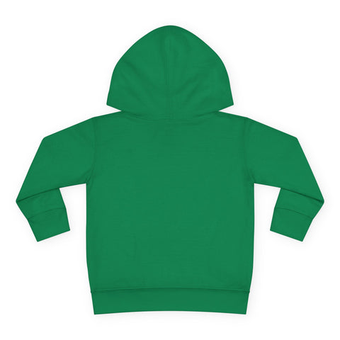 Toddlers Cat Pullover Fleece Hoodie