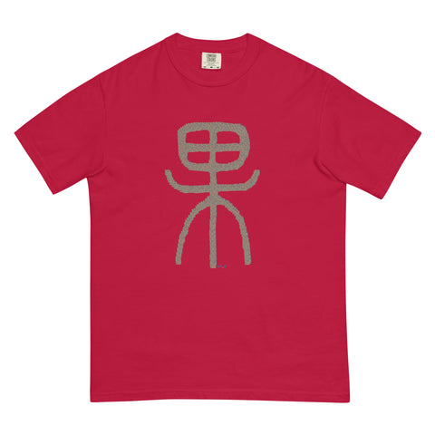 Women's Fruit of Action Premium T-shirt